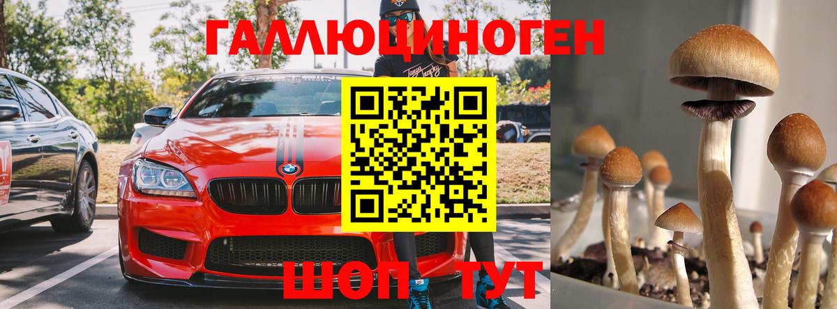 Галлюциногенные грибы GOLDEN TEACHER  Галлюциногенные грибы Psilocybe  Вход с VPN  Усинск 